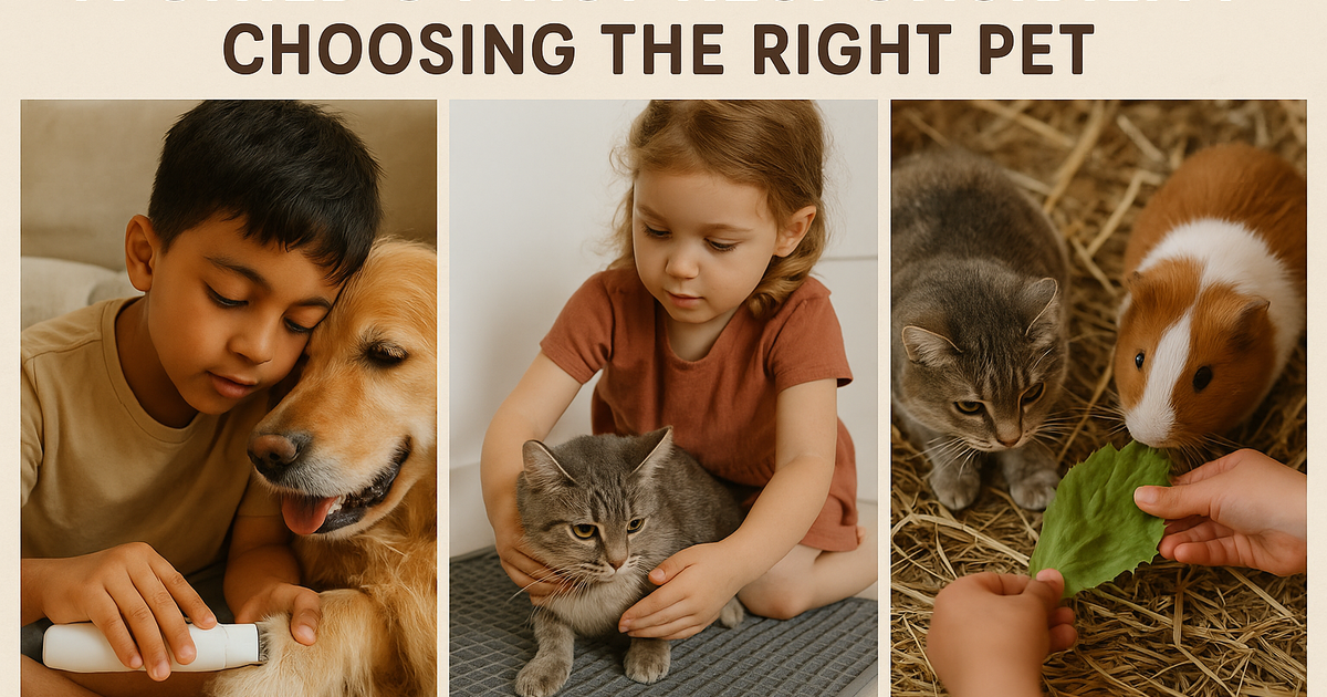 Best First Pets for Kids: How Dogs, Cats & Guinea Pigs Teach Responsib ...