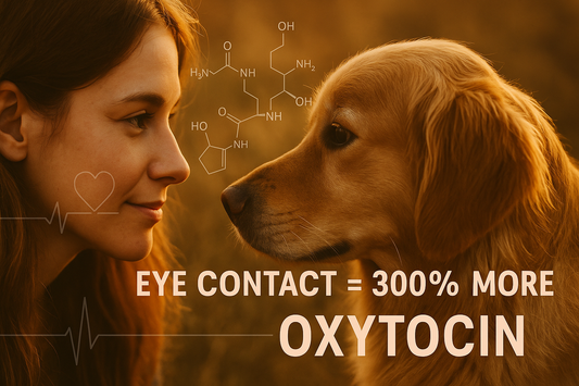Oxytocin Unleashed: 5 Ways Dogs & Cats Transform Human Psychology
